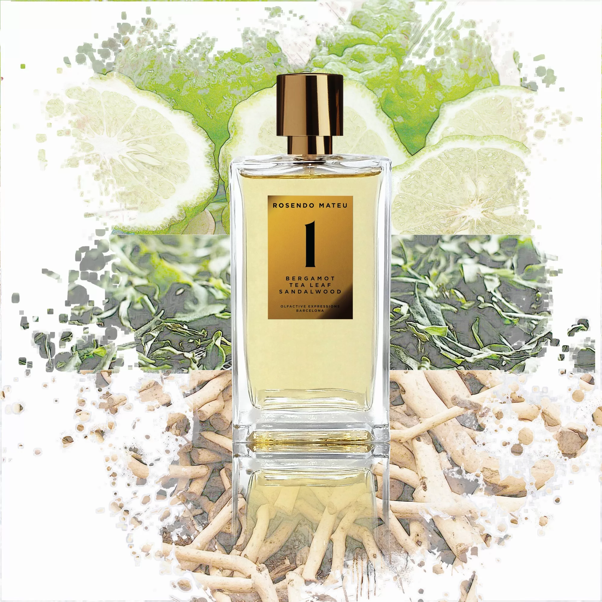 Rosendo Mateu Nº 1 Bergamot, Tea Leaf, Sandalwood Rosendo Mateu Olfactive Expressions